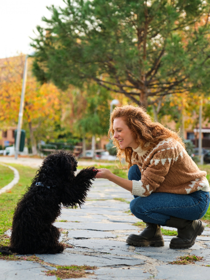 Dog receiving reward from owner