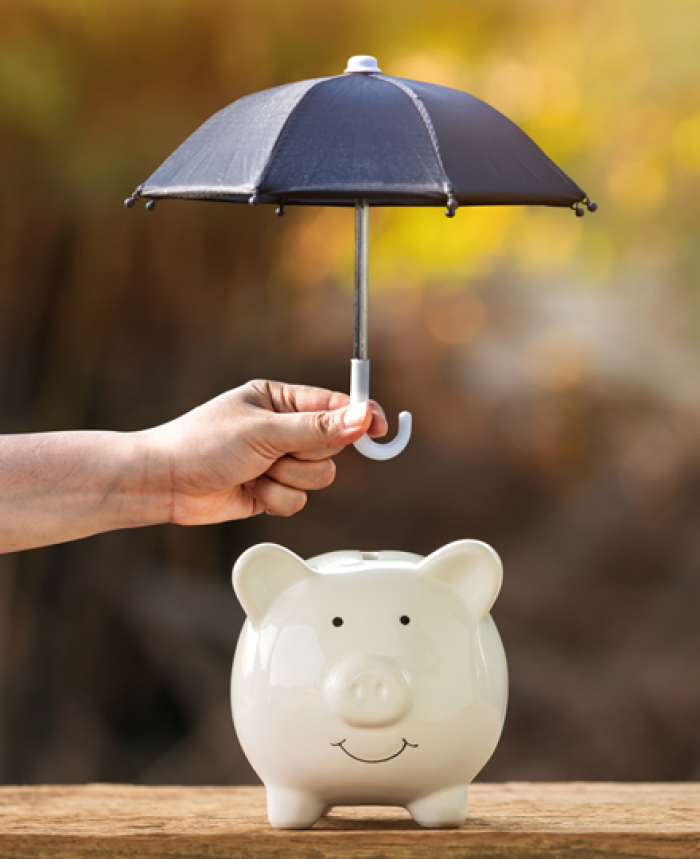 Protect your piggy bank and learn health financial habits.