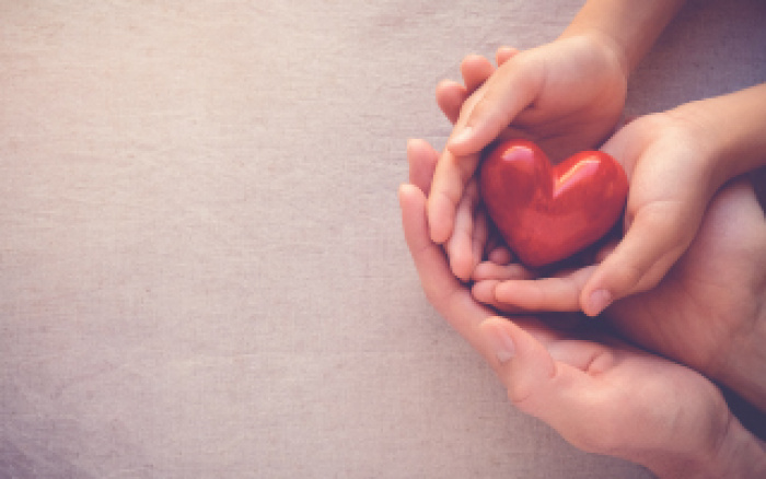 adult hands holding childs hands which are holding a heart