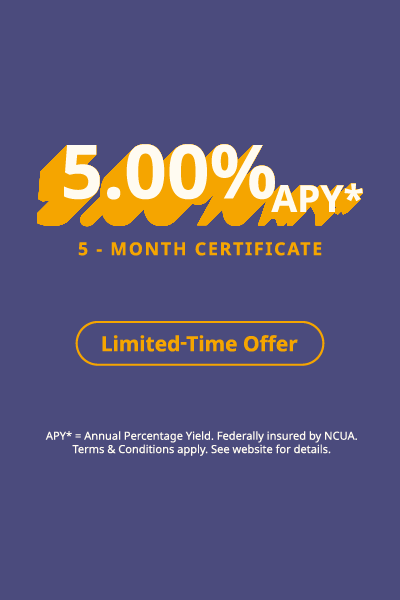 5-Month CD Special