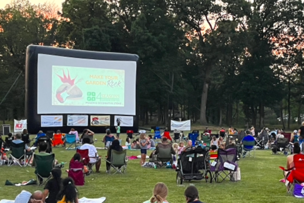 Movies in the Park