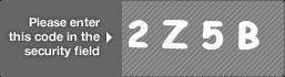 captcha code for visual authentication  number 2 letter Z number 5 letter B